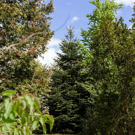 Tiny House Vibe At Near Saksild Semesterbostad